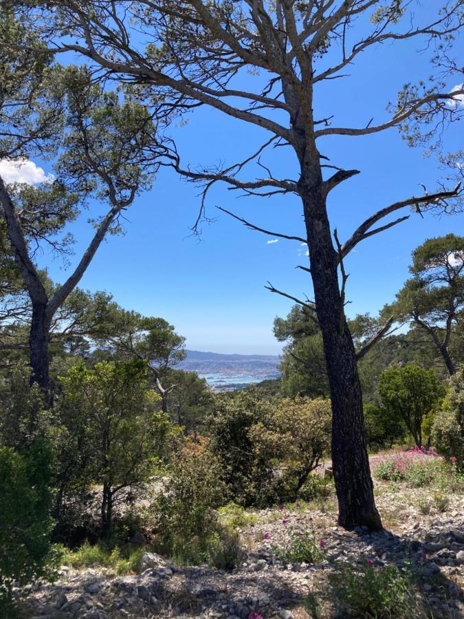 L'Appartement De Gaston Les Sablettes Dış mekan fotoğraf