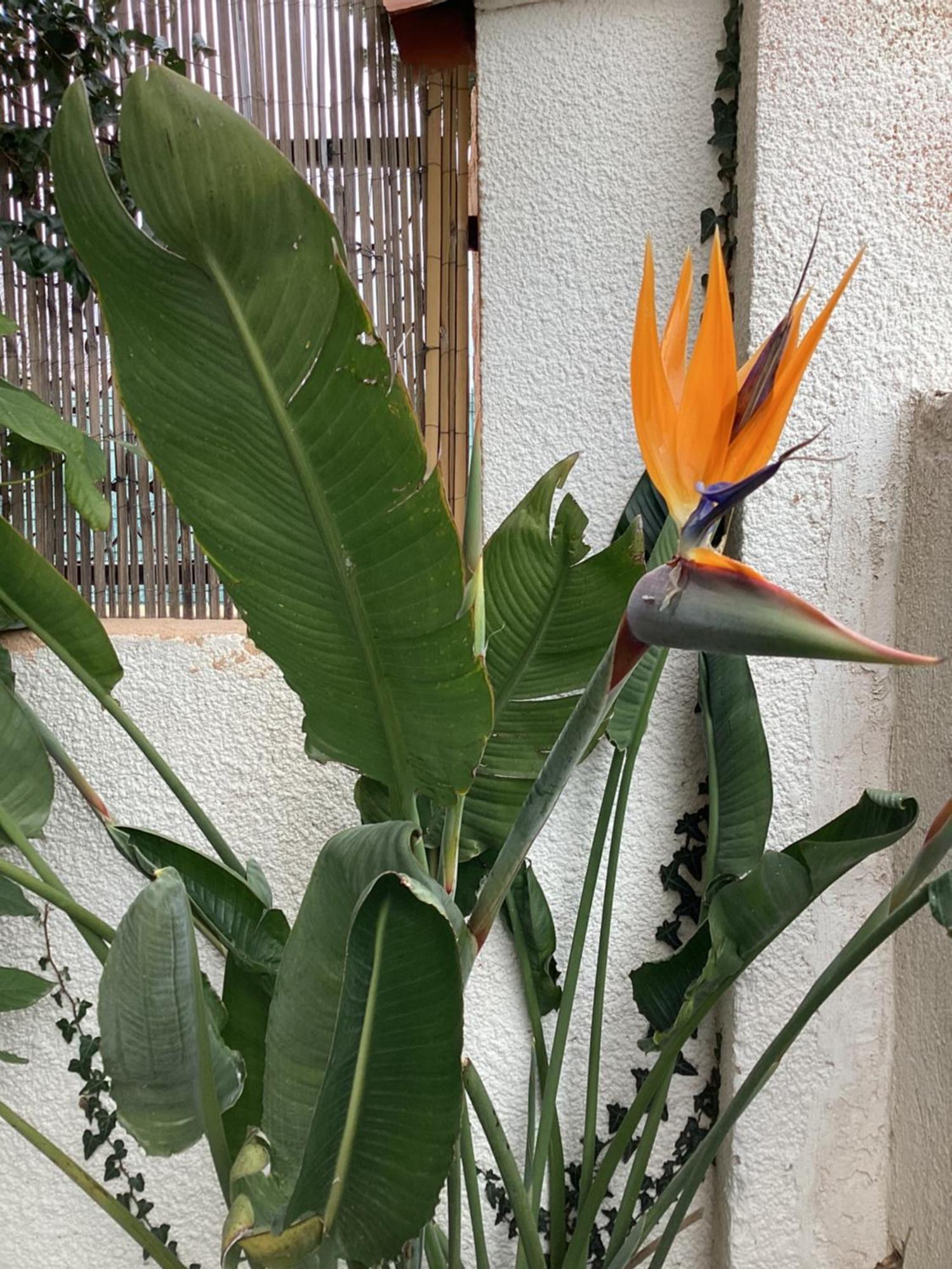 L'Appartement De Gaston Les Sablettes Dış mekan fotoğraf