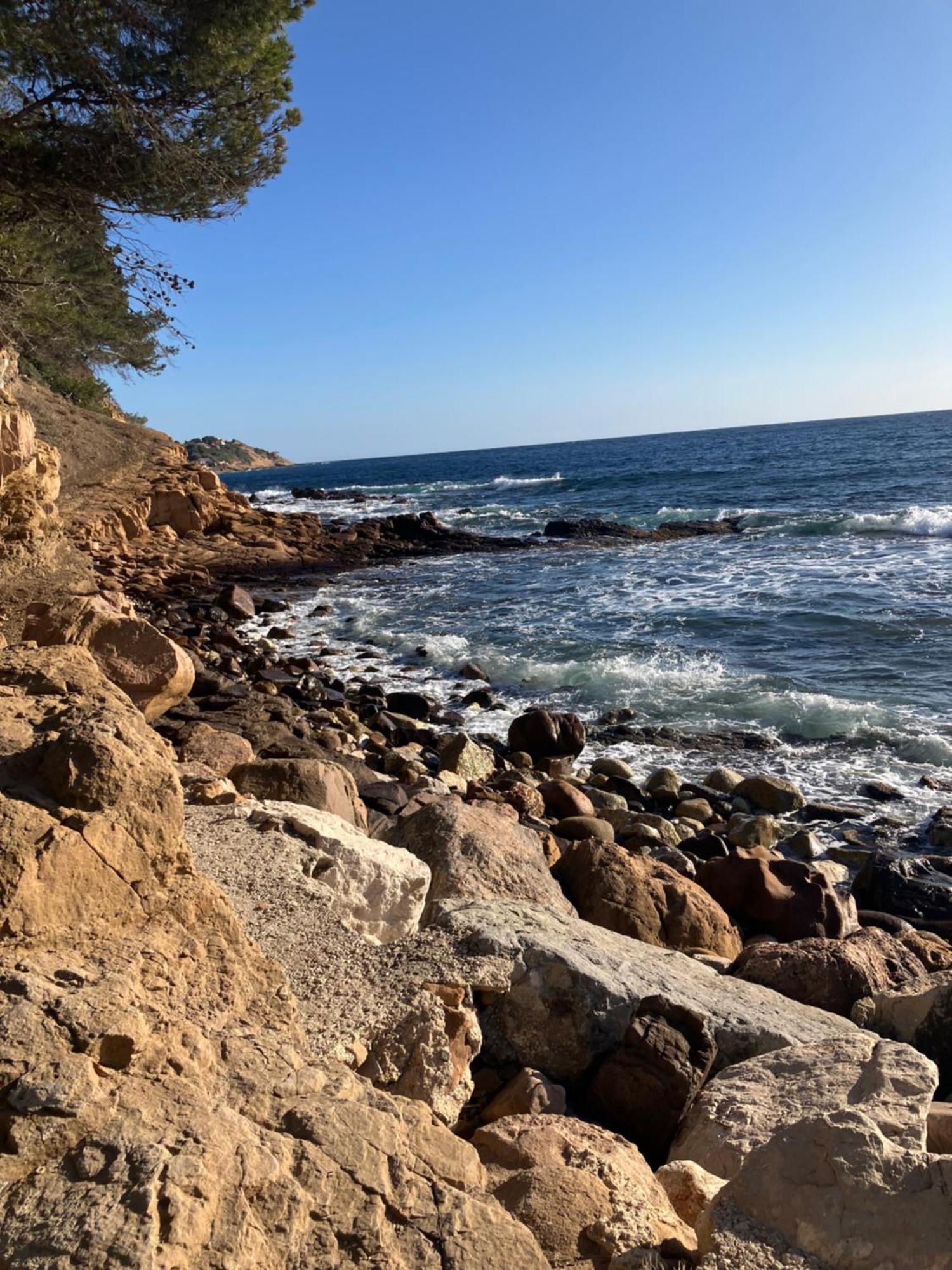 L'Appartement De Gaston Les Sablettes Dış mekan fotoğraf